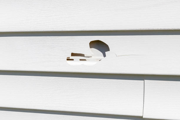 Reliable Gadsden, AL Siding Services Solutions